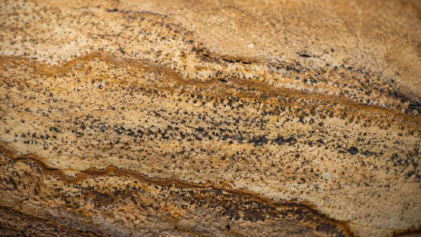 THE STONE SYSTEM